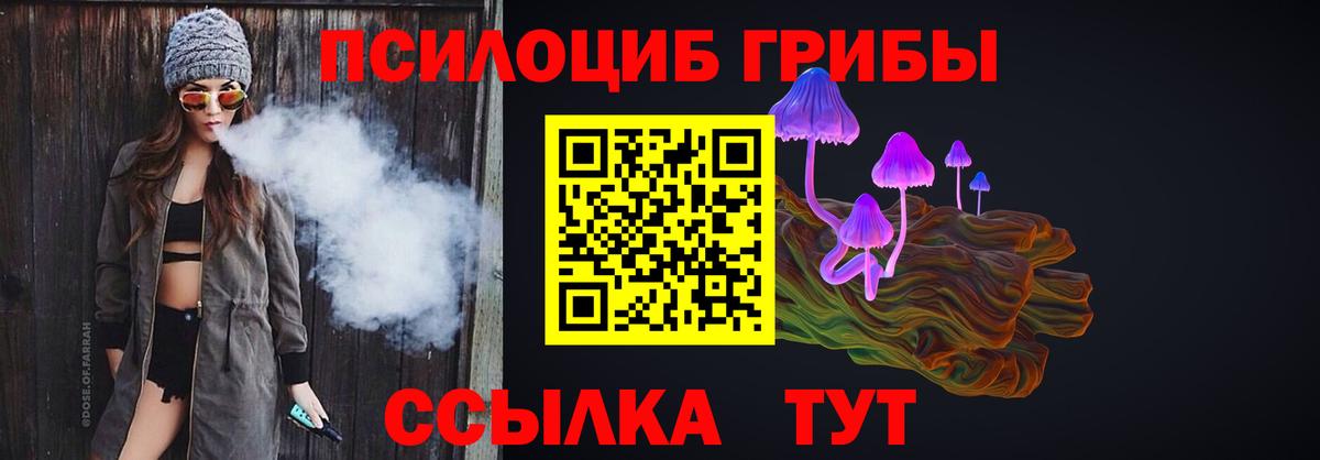 Джанкой  Псилоцибиновые грибы Psilocybine cubensis  Вход с VPN 